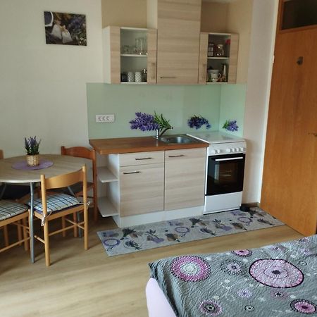 Apartmaji Verica Ceklin 博希尼 外观 照片