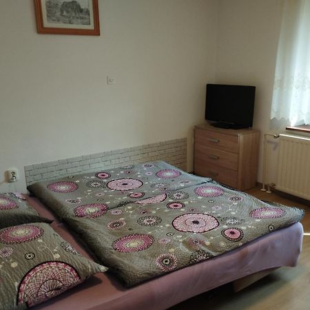 Apartmaji Verica Ceklin 博希尼 外观 照片