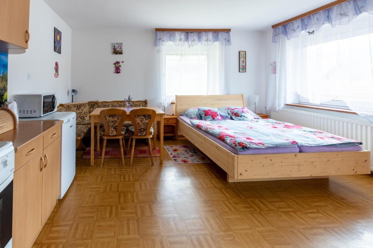 Apartmaji Verica Ceklin 博希尼 外观 照片
